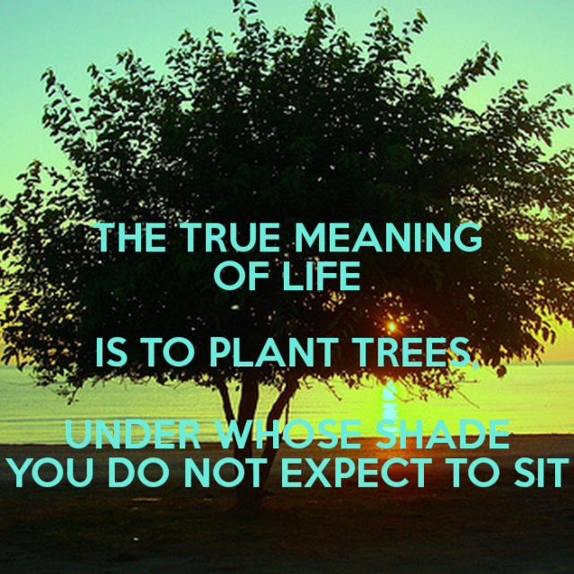 the-true-meaning-of-life-is-to-plant-trees-under-whose-shade-you-do-not-expect-to-sit